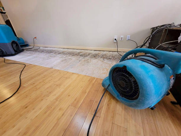 Professional Water Damage Repair technician working in Willow Grove, PA